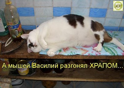click for enlarge 750 X 532  65.2 Kb picture