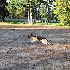 click for enlarge 1920 X 1926 521.7 Kb picture