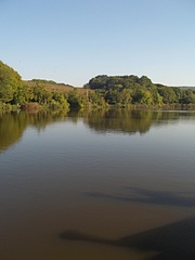 click for enlarge 1920 X 2560 819.5 Kb picture