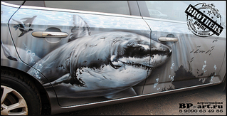 click for enlarge 1200 X 614 506.5 Kb picture