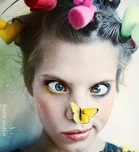 click for enlarge 421 X 459  48.4 Kb picture