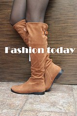 click for enlarge 537 X 807 95.3 Kb picture