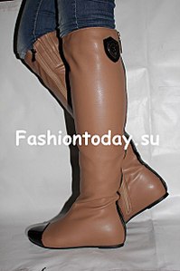 click for enlarge 402 X 604  39.8 Kb picture