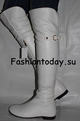 click for enlarge 402 X 604  34.0 Kb picture