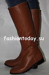 click for enlarge 402 X 604  37.0 Kb picture