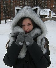 click for enlarge 315 X 384 23.5 Kb picture