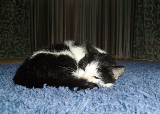 click for enlarge 1920 X 1364 243.2 Kb picture