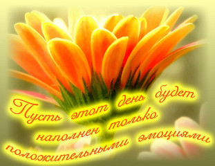 click for enlarge 600 X 463 87.0 Kb picture