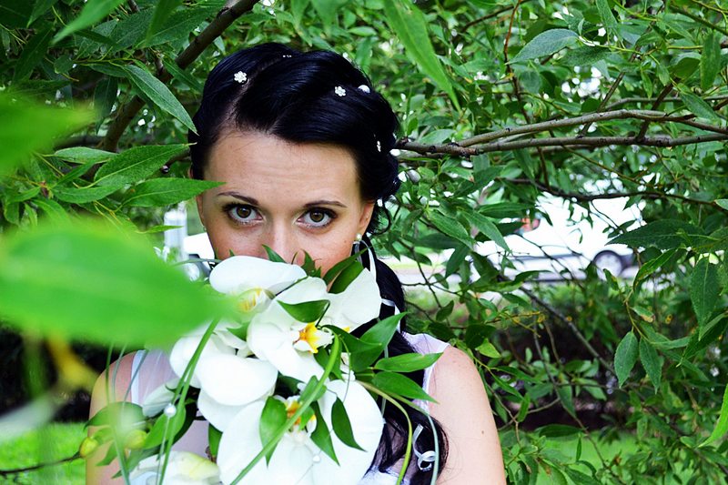 click for enlarge 1920 X 1280 380.8 Kb picture