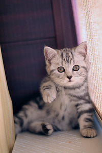 click for enlarge 1568 X 2352 430.1 Kb picture