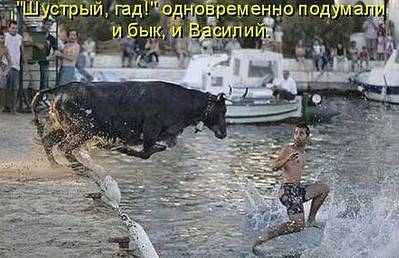 click for enlarge 628 X 406  47.6 Kb picture