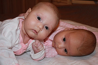 click for enlarge 800 X 533 165.8 Kb picture