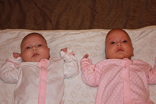 click for enlarge 800 X 533 176.7 Kb picture