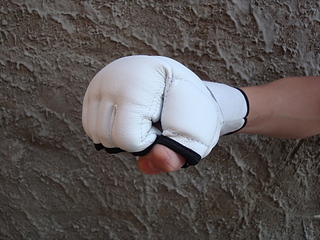 click for enlarge 1920 X 1440 184.3 Kb picture