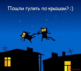 click for enlarge 600 X 524  48.6 Kb picture