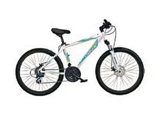 click for enlarge 438 X 336 18.6 Kb picture