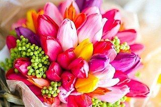 click for enlarge 500 X 333  43.8 Kb picture