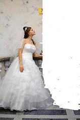 click for enlarge 228 X 343 10.3 Kb picture