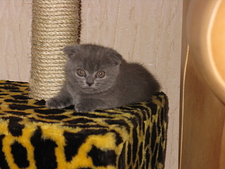 click for enlarge 1600 X 1200 166.9 Kb picture