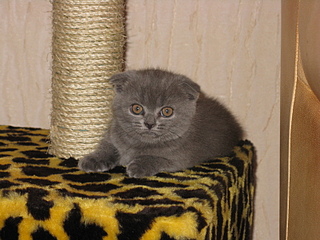 click for enlarge 1600 X 1200 184.3 Kb picture