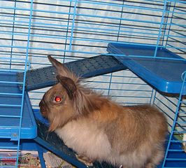 click for enlarge 900 X 811 159.4 Kb picture