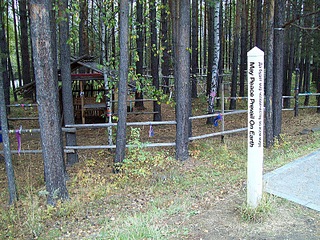 click for enlarge 800 X 600 297.1 Kb picture