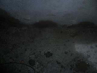 click for enlarge 1920 X 1440 143.0 Kb picture