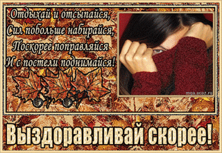 click for enlarge 450 X 311 227.6 Kb picture