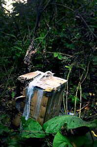 click for enlarge 662 X 1000 632.3 Kb picture