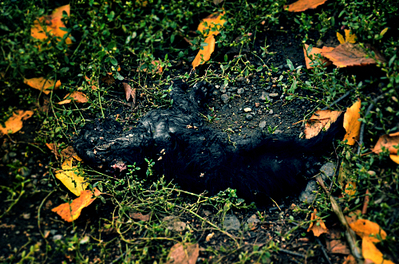 click for enlarge 1000 X 662 744.8 Kb picture