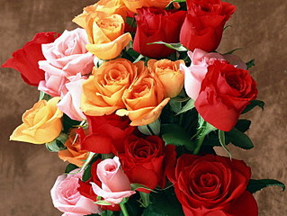 click for enlarge 700 X 525 101.4 Kb picture