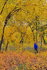 click for enlarge 682 X 1024 247.3 Kb picture