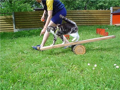 click for enlarge 500 X 375 70.2 Kb picture