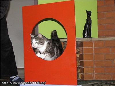 click for enlarge 500 X 375 29.7 Kb picture