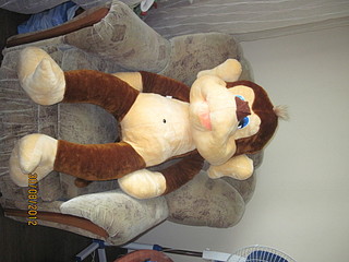 click for enlarge 1920 X 1440 522.6 Kb picture