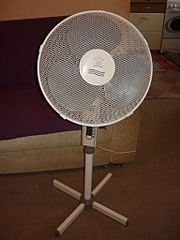 click for enlarge 1536 X 2048 253.9 Kb picture