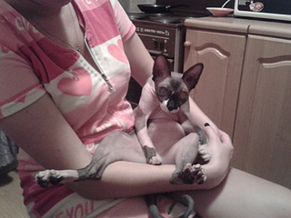 click for enlarge 1920 X 1440 632.7 Kb picture