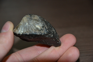 click for enlarge 1920 X 1280  81.2 Kb picture