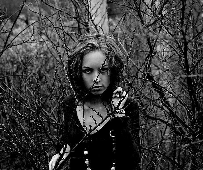 click for enlarge 1920 X 1614 670.1 Kb picture