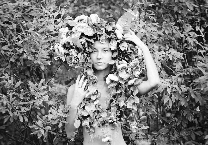 click for enlarge 1920 X 1341 566.9 Kb picture