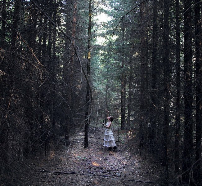 click for enlarge 1920 X 1769 926.6 Kb picture