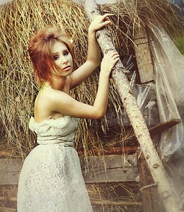 click for enlarge 1920 X 2212 632.0 Kb picture