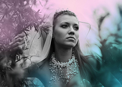 click for enlarge 1920 X 1378 533.3 Kb picture