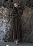 click for enlarge 500 X 700 136.4 Kb picture