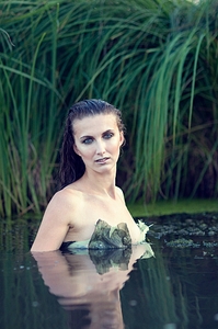 click for enlarge 700 X 1054 493.3 Kb picture