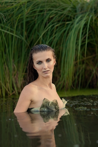 click for enlarge 700 X 1054 452.4 Kb picture