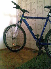click for enlarge 1200 X 1600 402.4 Kb picture