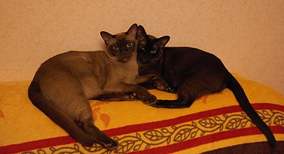click for enlarge 1024 X 553 175.4 Kb picture