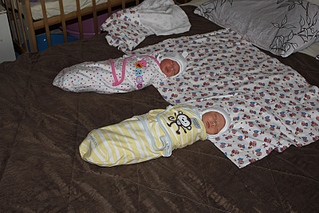 click for enlarge 800 X 533 242.1 Kb picture