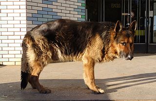 click for enlarge 1920 X 1248 343.8 Kb picture